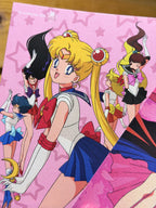 Moonlight Holiday Set "Chibi" (4 postcards)