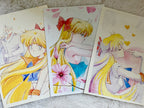 Inventory cleanup - Sailor Venus (4 items)
