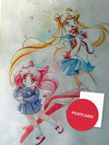 The Girl from the Sky — Sailor Moon and little Chibiusa with Luna-P, fan art postcard by Valery ASH, 2015